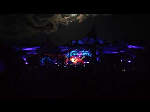 Flossy Waves @ Camakavum Festival 2022