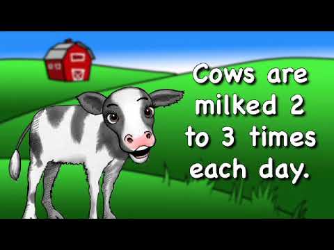 download lagu mp3 mp4 Food Table For Kids, download lagu Food Table For Kids gratis, unduh video klip Food Table For Kids