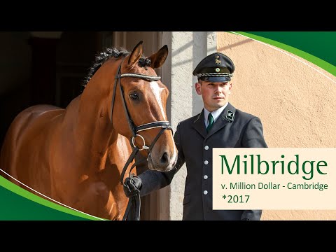 MILBRIDGE v. Million Dollar - Cambride