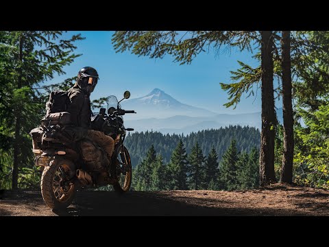 Epische Wanderwege, Vulkane im Wald – meine Erkundungstour durch Washington, USA – Folge 11