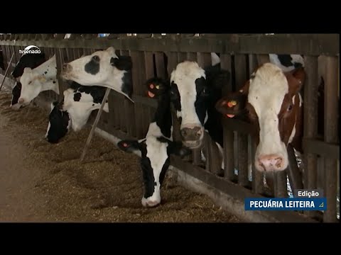 Crise na pecuária leiteira gaúcha é tema de debate na CDH
