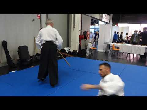 METZ TORII 2021 DEMO ARMES