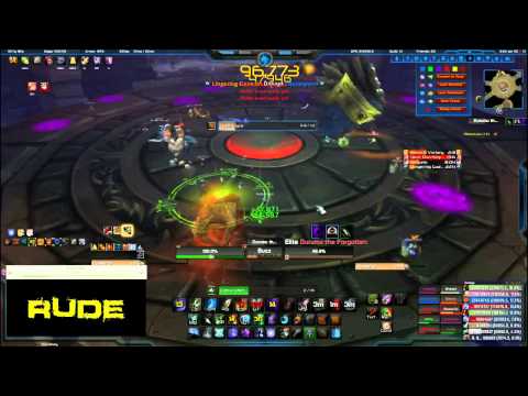 Durumu 10N Rank 1 Survival Hunter DPS (196K)