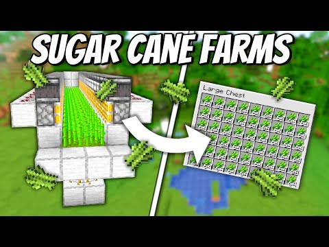 Automatic Sugar Cane Farms - Minecraft 1.19 Tutorial