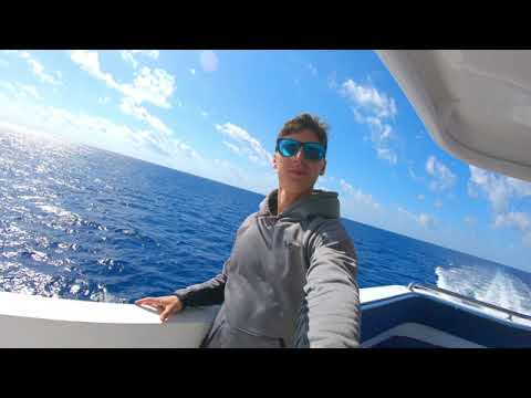 East Coast - Australia - 2019