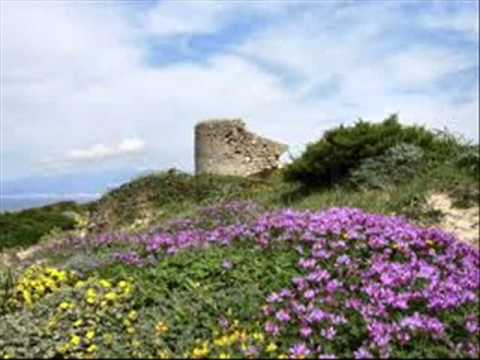 CUORE E VENTO -MODA' FEAT TAZENDA