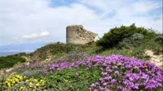 CUORE E VENTO -MODA&#39; FEAT TAZENDA