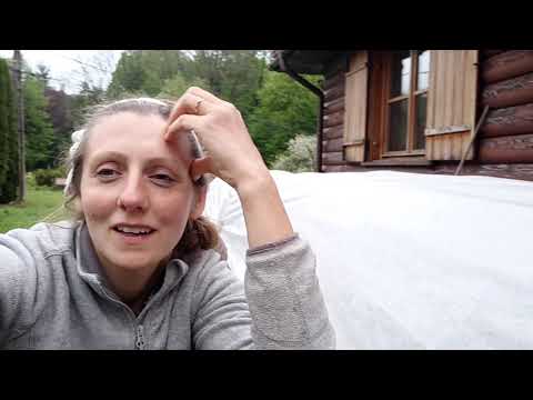 Jak robię pokrzywicę oraz moje kolejne zagony bez przekopywania.