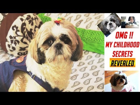 And then my childhood secrets revealed | Flurry Decoded in first Vlog ever | Wags & Hugs