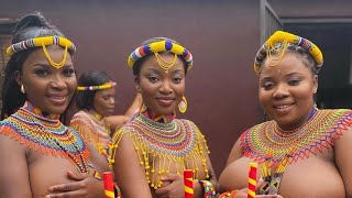 Zulu Festival 2025 🇿🇦🎊