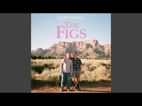 The Figs video