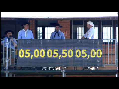 Classificatória Gaúcha - 5º e 6º lugares fêmeas (Campo II)