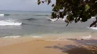 preview picture of video 'Exploring Tobago With Tobago Bookings: Mt. Irvine'