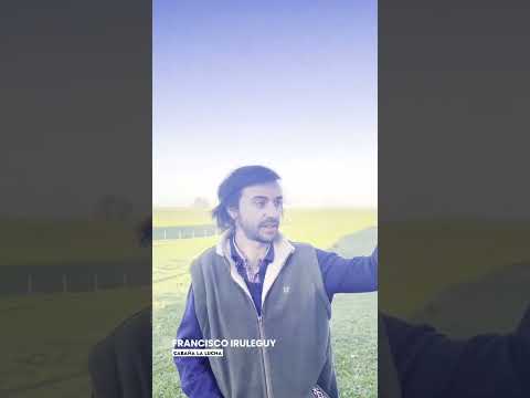 Sostenibilidad del ovino en sistemas ganaderos mixtos - Jornada abierta en Carlos Reyles - Durazno