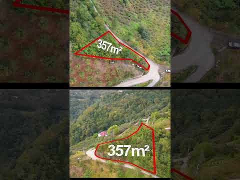 YouTube Shorts Önizleme