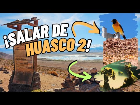AVENTURA AL SALAR DE HUASCO | Una perspectiva jamás vista | VLOG #18