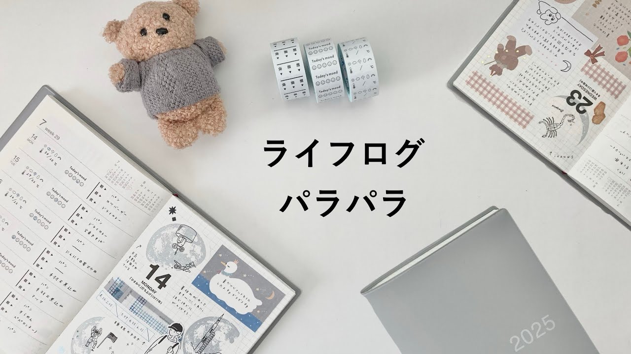 ライフログパラパラ｜2025年に使った手帳紹介｜おすすめ文具やデコ