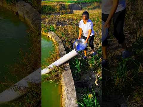 Amazing Fish Catching with a Pipe Part 01 #shorts #fishing #youtubeshorts