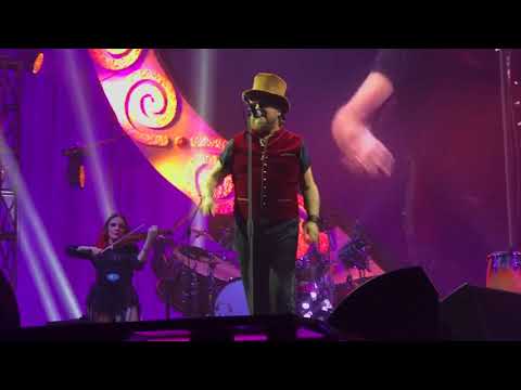 Zucchero - L’anno dell’amore