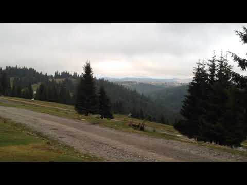 Comuna Marisel,jud Cluj,25.07.2017