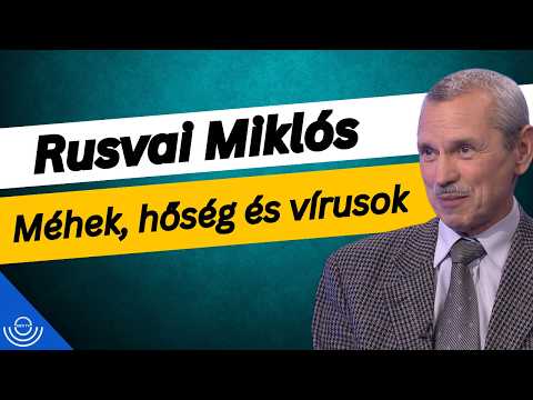 Pirkadat: Rusvai Miklós – Méhek, hőség és vírusok