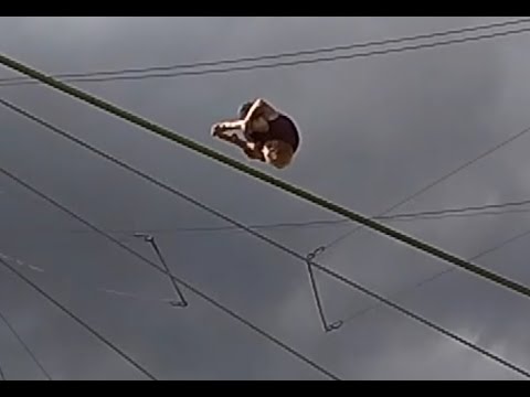 Tkachev salto rattrapé par Alexis MARiN au trapèze volant bâton-bâton