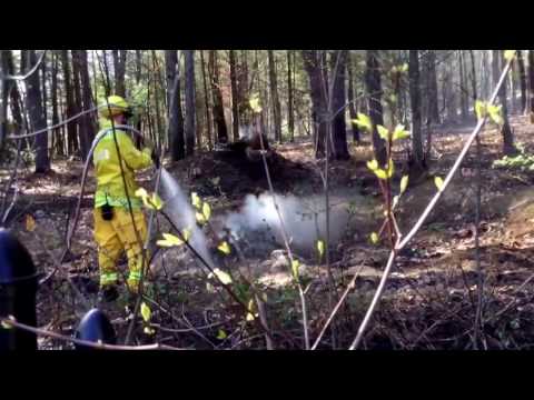 Palmer mass brush fire