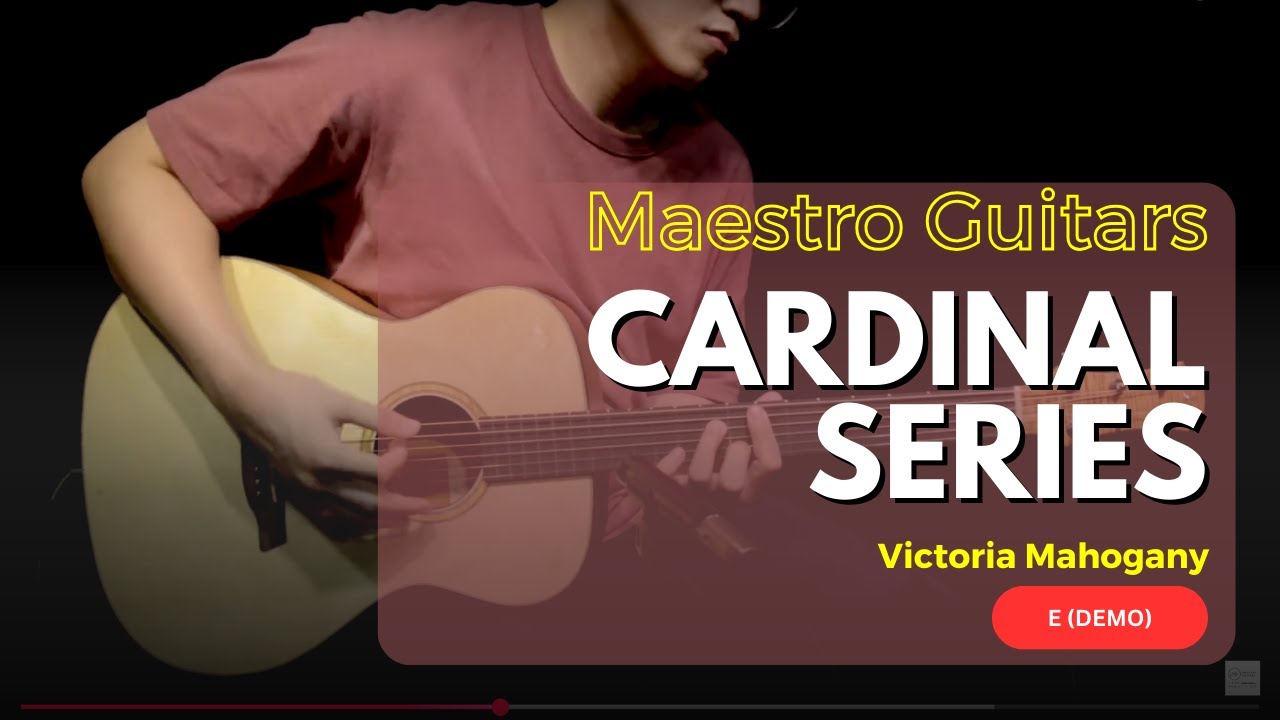 Maestro Cardinal VICTORIA MH Acoustic Electric Guitar w/Gigbag