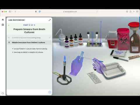 Pearson Interactive Labs for Microbiology: Gram Stain