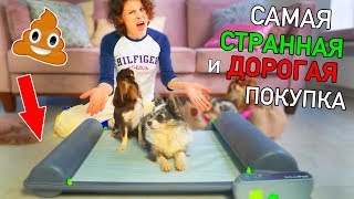 ПОТРАТИЛА 25 000 ЗРЯ! ТУАЛЕТ ДЛЯ СОБАК КОТОРЫЙ САМ УБИРАЕТ! КУПИЛА В США СОБАЧИЙ ТУАЛЕТ ЧТО НЕ ТАК?