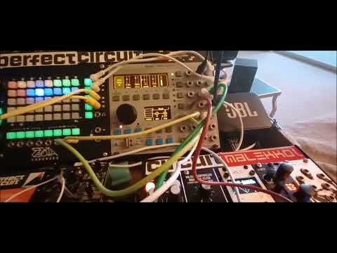 ER-301 Sound Computer Eurorack Module (Black Panel + Nostalgia Panel) image 10
