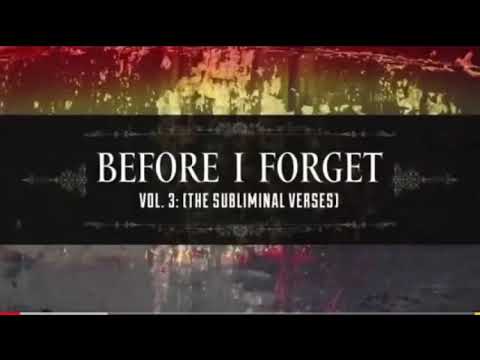 Jim root-before I forget guitar