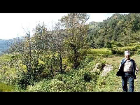 Siroj the best 🧑🧑 the best way of doing a great time