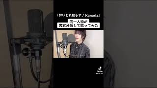 同一人物が #男女分裂 して『 #酔いどれ知らず / #Kanaria 』#歌ってみた 【Rio】#shorts