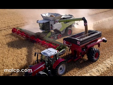 Harvest 2022: Claas Lexion 8900 TT + Convio 1380, Horsch UW 160 chaser bin MF 7719 S DynaVT barley