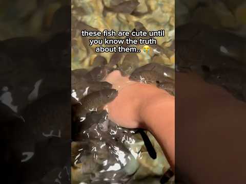 it’s so messed up.. 😭