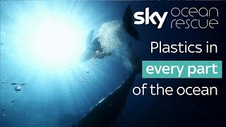 Plastics in every part of the ocean