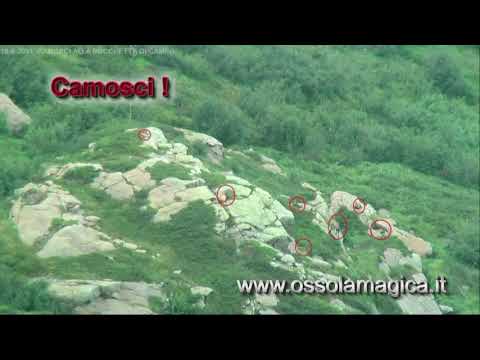 Bivacco Bocchetta di Campo - Foto