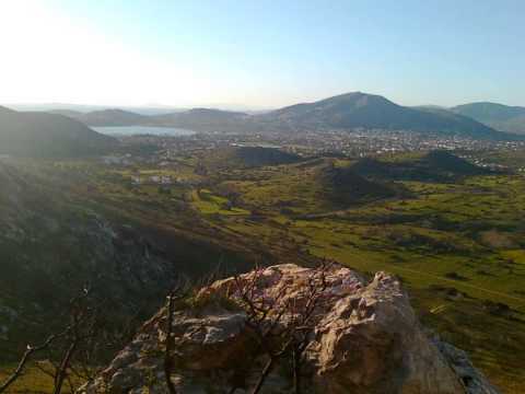 Safira Come Back - Belgium (Bowling for Soup Acoustic cover)