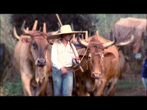 Clipe Romaria do Divino Pai Eterno 2022