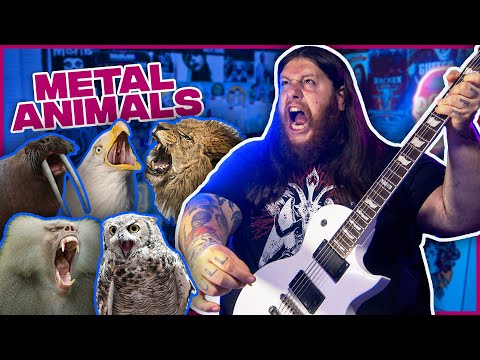 Danny Metal - METAL ANIMALS