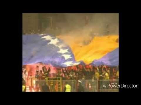 BHfanaticos-himna-ljiljani zlatni