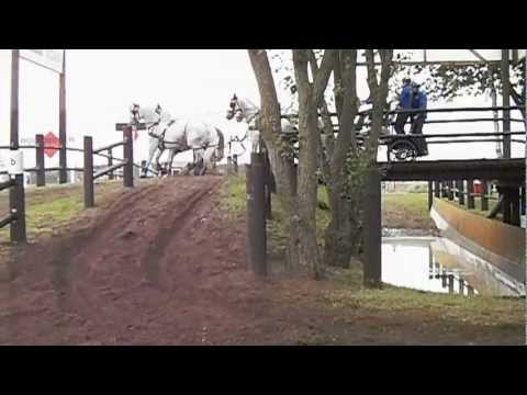 Weusthof, Mark, NED, CAI Lähden 2012, Marathon, O 2.AVI