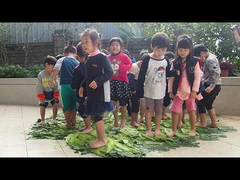 新奇屋幼兒園~108-12-26~小朋友體驗踩鹹菜 新奇屋幼兒園~108-12-26~小朋友體驗踩鹹菜
