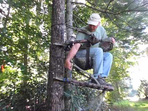 Leveling a Summit Treestand