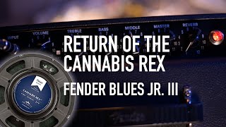 Video thumbnail for Return of the Cannabis Rex in my Fender Blues junior III by GUITARS & GIZMOS