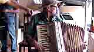 sanfoneiro valdemar do brejin