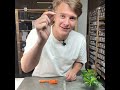 Pinnen settes inn igjen og flukter med lenken