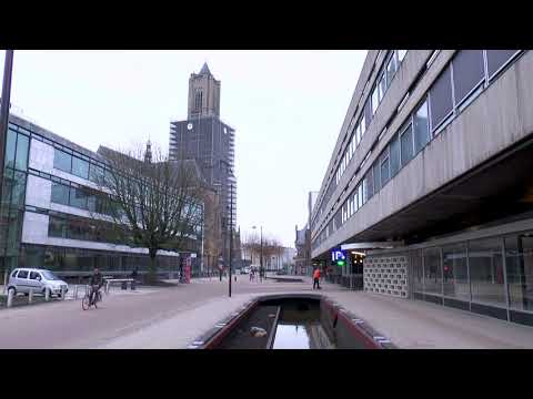 Goudvissen uit de jansbeek