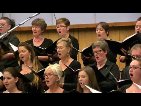 Final Fantasy XV OST Omnis Lacrima (Live)